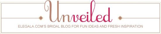 Unveiled wedding blog logo